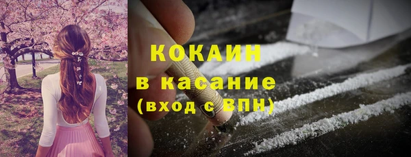 шишки Алексеевка